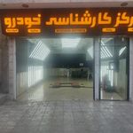 تشخیص رنگ خودرو