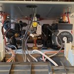 شورش اصحابی