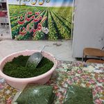 فروشگاه تولیکاباران
