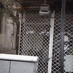پیرایش برنا
