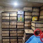 باربری اطمینان بار با سابقه درخشان