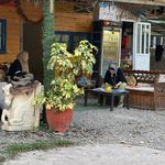 باشگاه سوارکاری فرشتگان نجیب