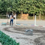 باشگاه سوارکاری فرشتگان نجیب