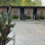 باشگاه سوارکاری فرشتگان نجیب