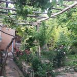 اقامتگاه بومگردی رویین دژ