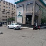 سردار جنگل