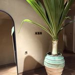 سالن ماساژ این دم