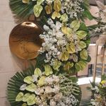 گل فروشی سلیمانی