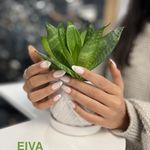 آرایشگاه زنانه ایوا(تخفیف بهترینو)