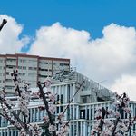 خدمات تخصصی ناخن و اکستنشن مژه نیلای