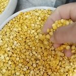 فروش حبوبات اعلا