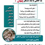 کاردرمانی  سبزوار فاطمه مصطفوی نژاد
