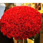 گلفروشی سی تو (ارسال رایگان)