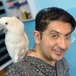 کلینیک دامپزشکی حیوانات خانگی و پرندگان زینتی آرامیس