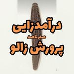 آموزشگاه کشاورزی و طب آتی نگر