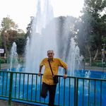 بوستان زیتون