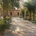 بوستان زیتون