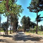 باغ و قلعه مود