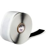 محمد حسن شاهی