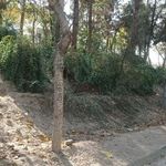 بوستان میثاق