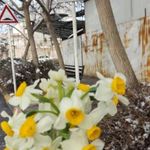 ایستگاه اتوبوس شهید اسفندیانی