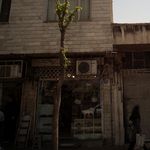 دنیای صندل