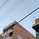 ایستگاه اتوبوس بانک صادرات