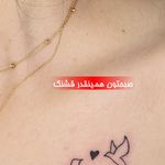 میکروکیماسی( میکروابرو چشم لب،ریمو)