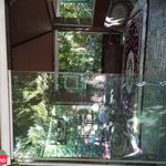 کافه گردشگری آبنوس(حاصلی)