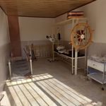 سالمندان نیکنامان