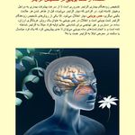 دکتر علی جوادپور