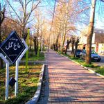 بوستان باغ گل