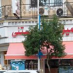 بستنی فروشی شاد