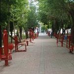بوستان باغ گل