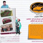 مجتمع غیر دولتی حکیم ثنایی