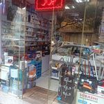 شاهین