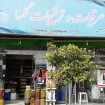 عرقیات گلسا