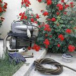 لوله بازکنی صداقت