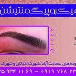 مرکز میکروپیگمنتیشن گیپور