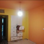 سعید سلجوقی خوشکار