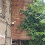 سالن زیبایی شادلین 
