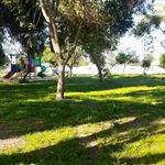 پارک کشاورز