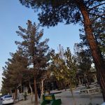 شهدای ارگ