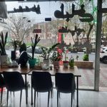 طباخی بره ناقلا