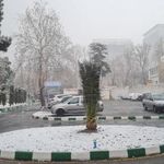دانشکده مدیریت