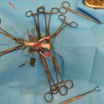 دامپزشکی وهاب آسمانی