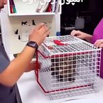 قفس واکسن سگ وگربه