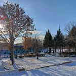 فضای سبز