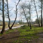 چشمه آب گرم بلیران