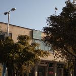 بیمه پارسیان کد519800